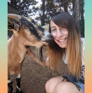 Meet your Posher, Rachel